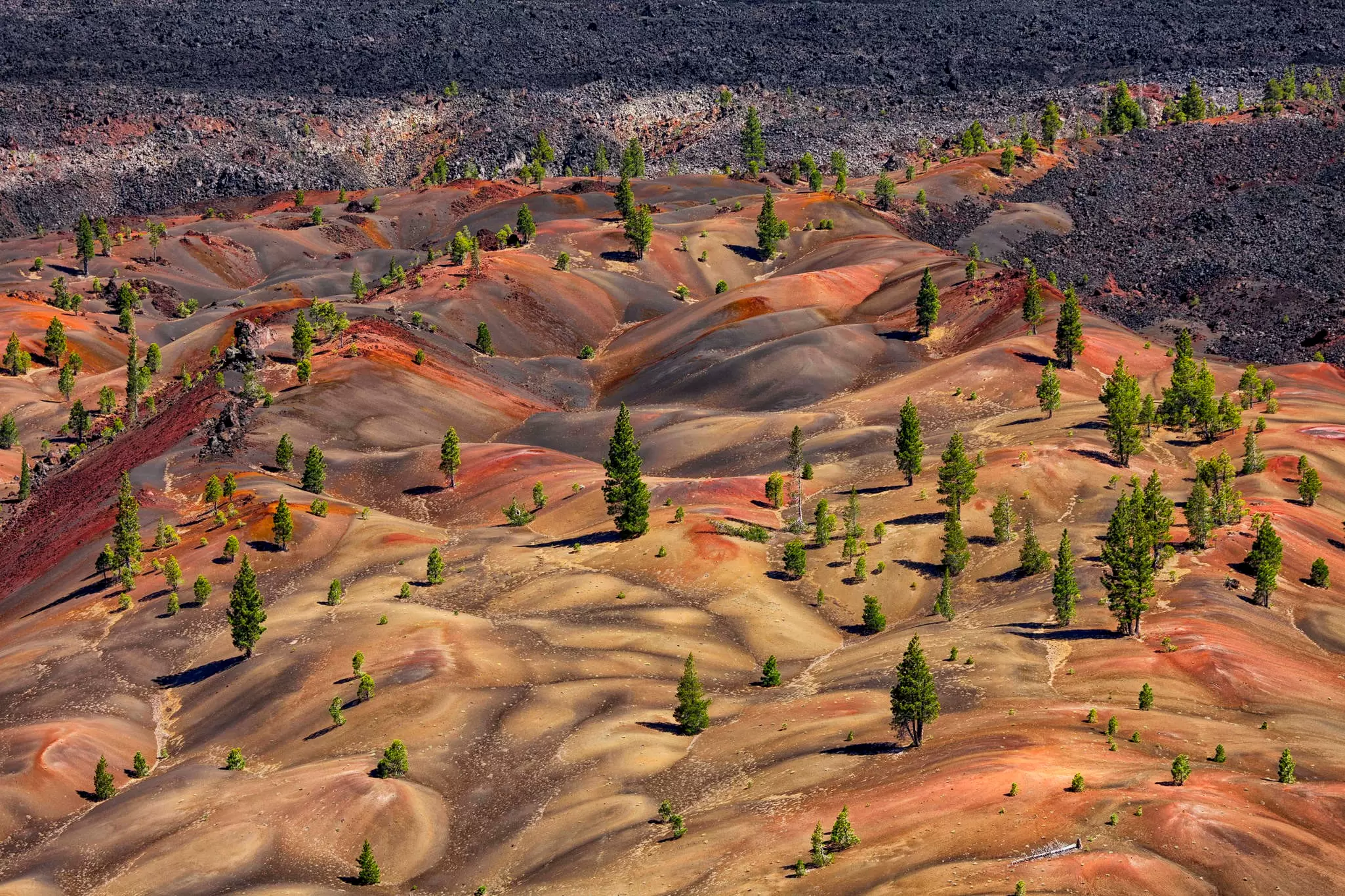 Cinder Cone - Lassen Volcanic National Park