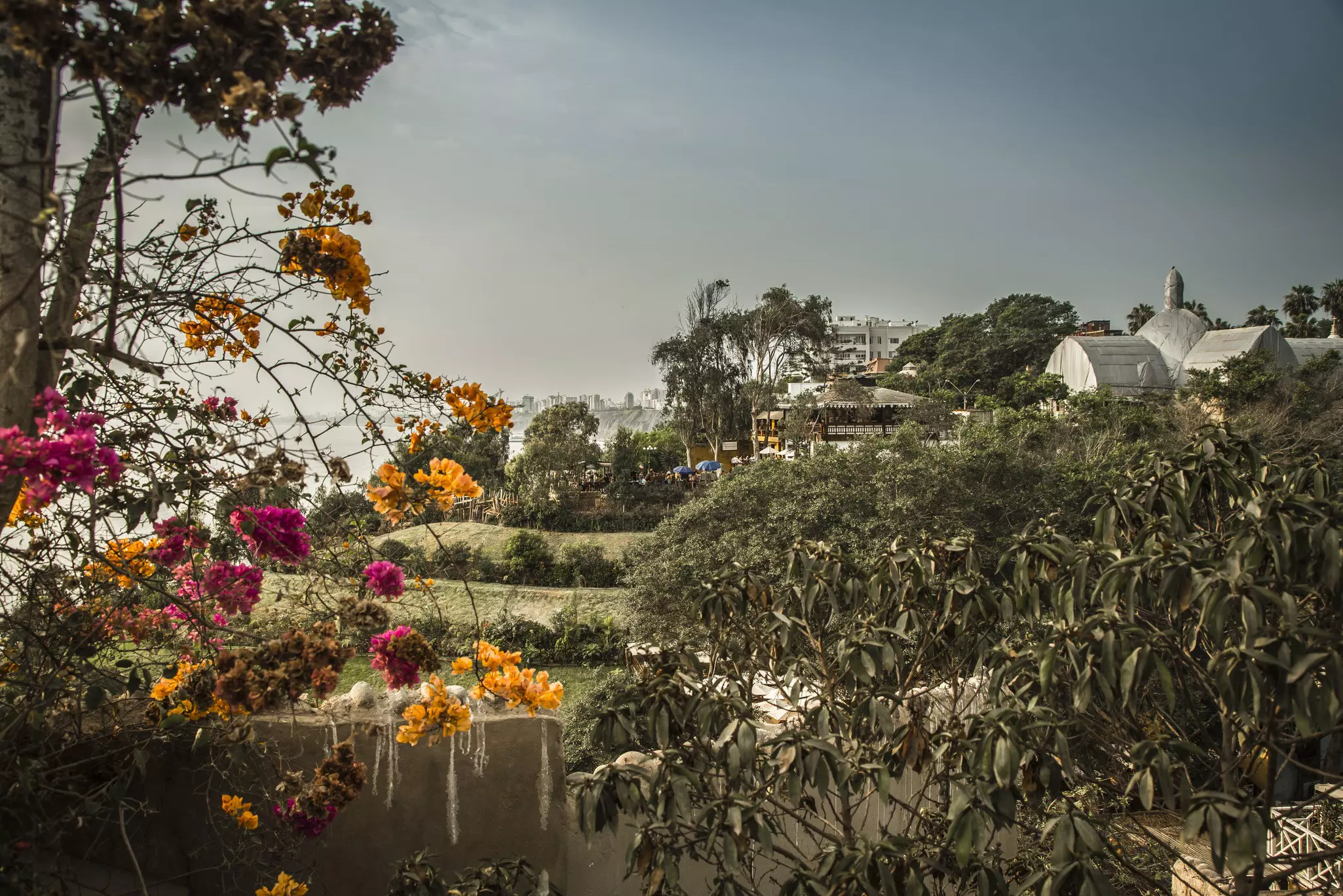 A flowering bush in the foreground frames a green hill and lawn; rooflines of low buildings are visible in the background.