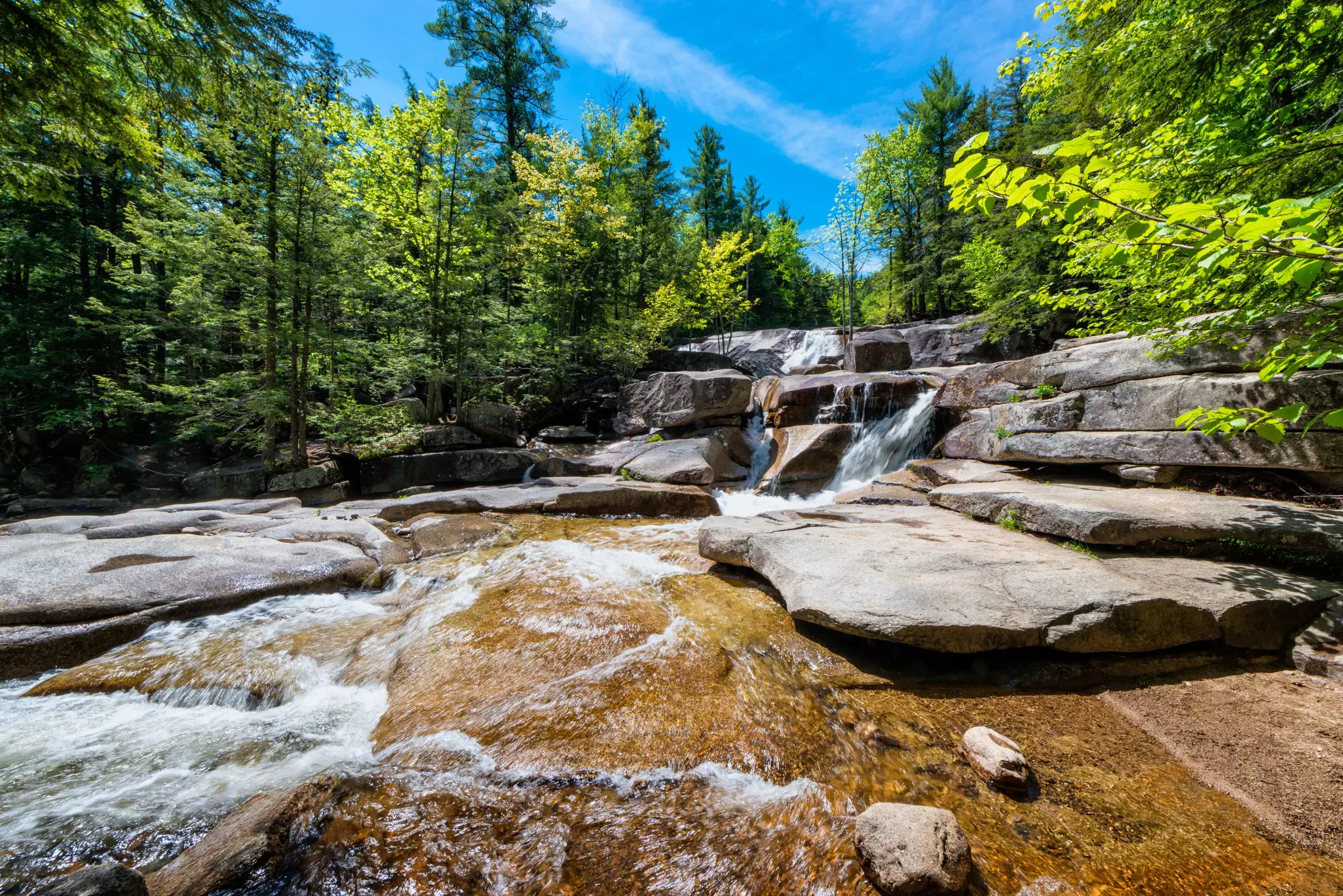 A small series of waterfalls surrounded by green woodland in the spring sunshine