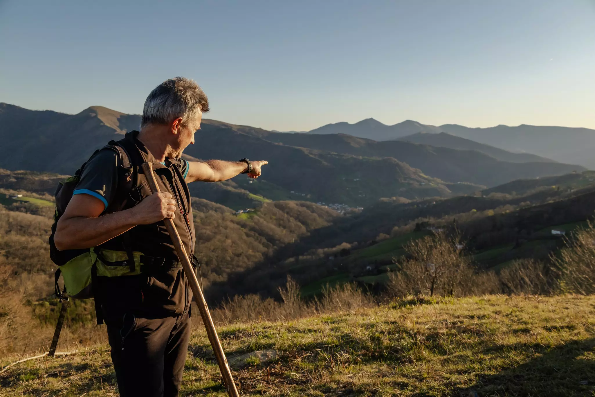 A person holding a walking stick pointing toward mountains.