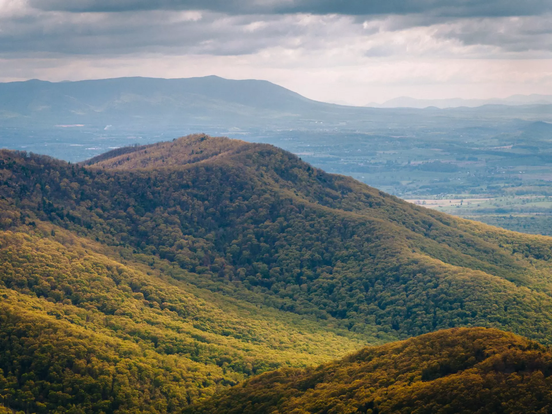 Plan your time and budget with this guide to Shenandoah National Park. Jon Bilous/Shutterstock