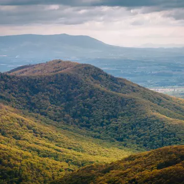 Plan your time and budget with this guide to Shenandoah National Park. Jon Bilous/Shutterstock