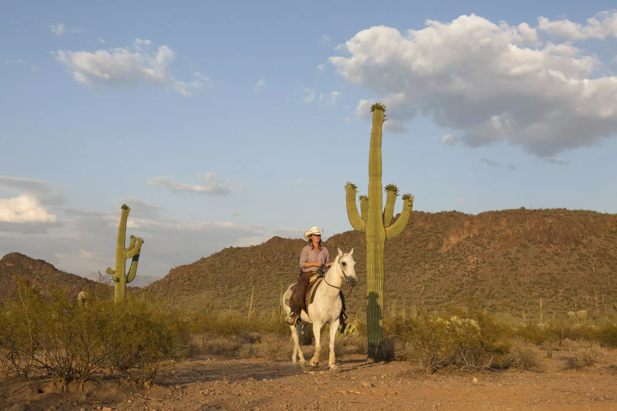 Woman with her horse Lobo in the Sonoran desert at the White Stallion Ranch in Tucson, Arizona.