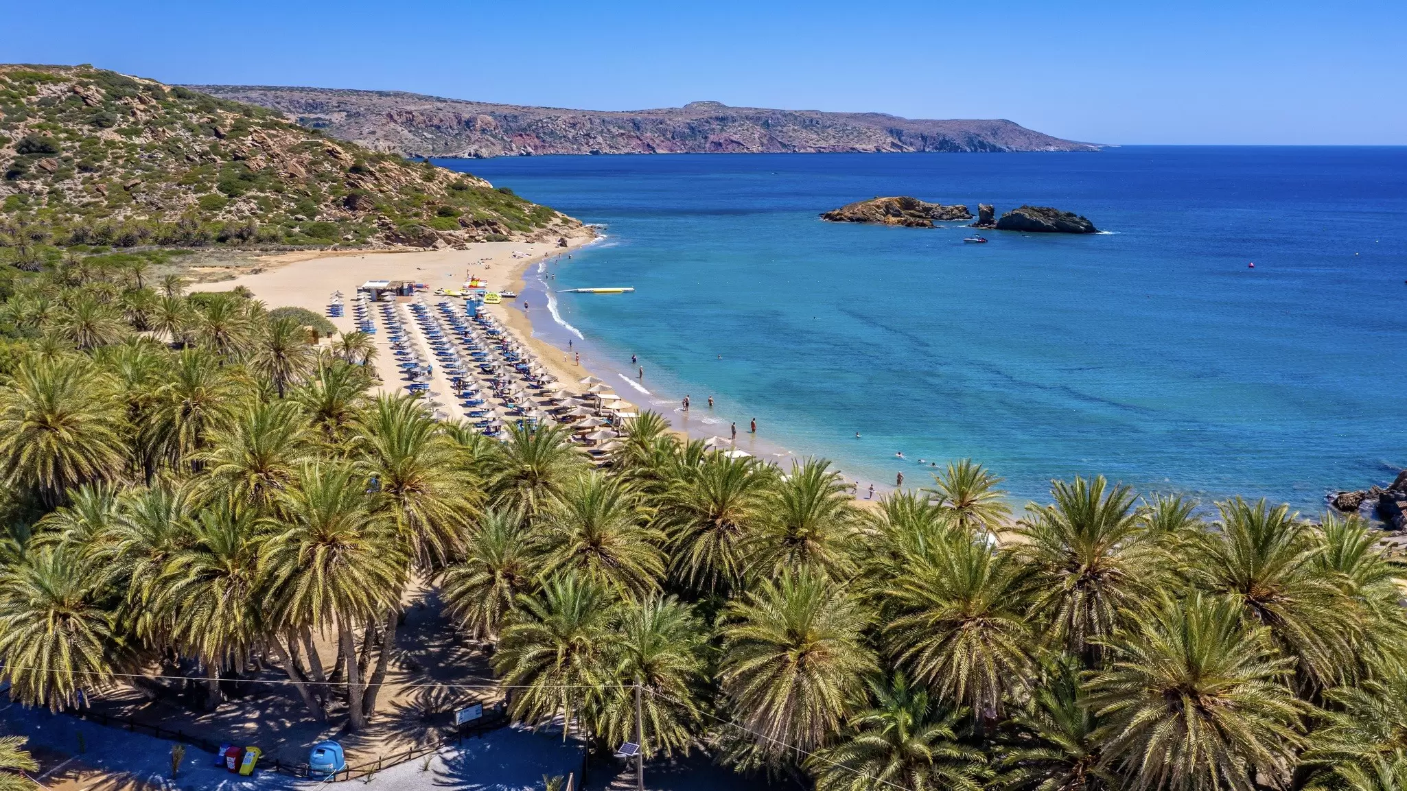 The fabled date palms at Vaï Beach, Crete, Greece. Lukasz Tyczkowski/Shutterstock