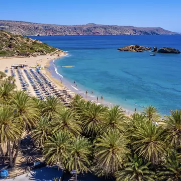 The fabled date palms at Vaï Beach, Crete, Greece. Lukasz Tyczkowski/Shutterstock