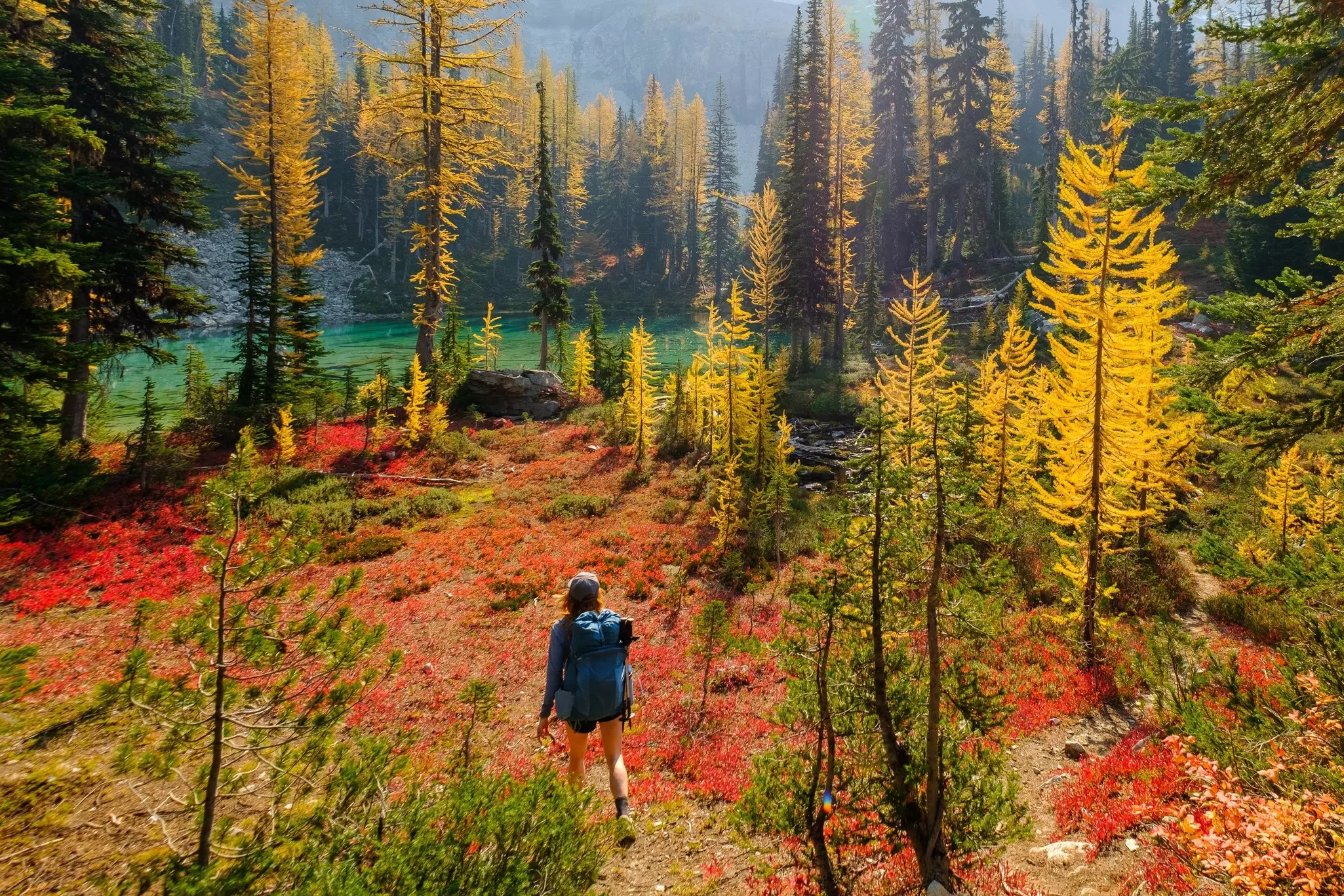 A woman in a baseball hat and large backpack hikes through golden larch trees with red fire weed all around her towards an emerald green high alpine lake.
