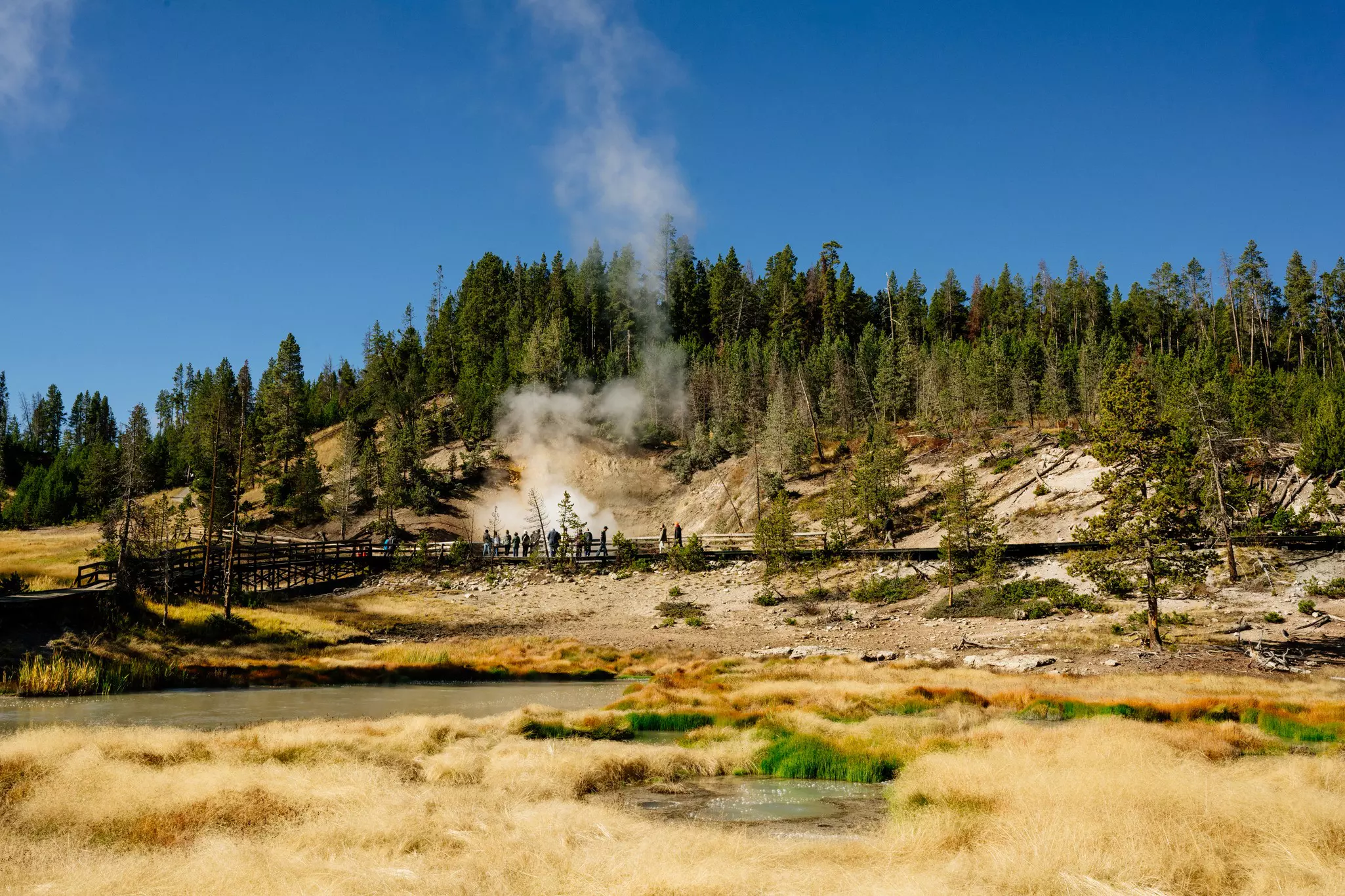 Steam rises over visitors to the Mud Volcano Trail and Dragon's Mouth Spring in Yellowstone National Park, Wyoming, USA.