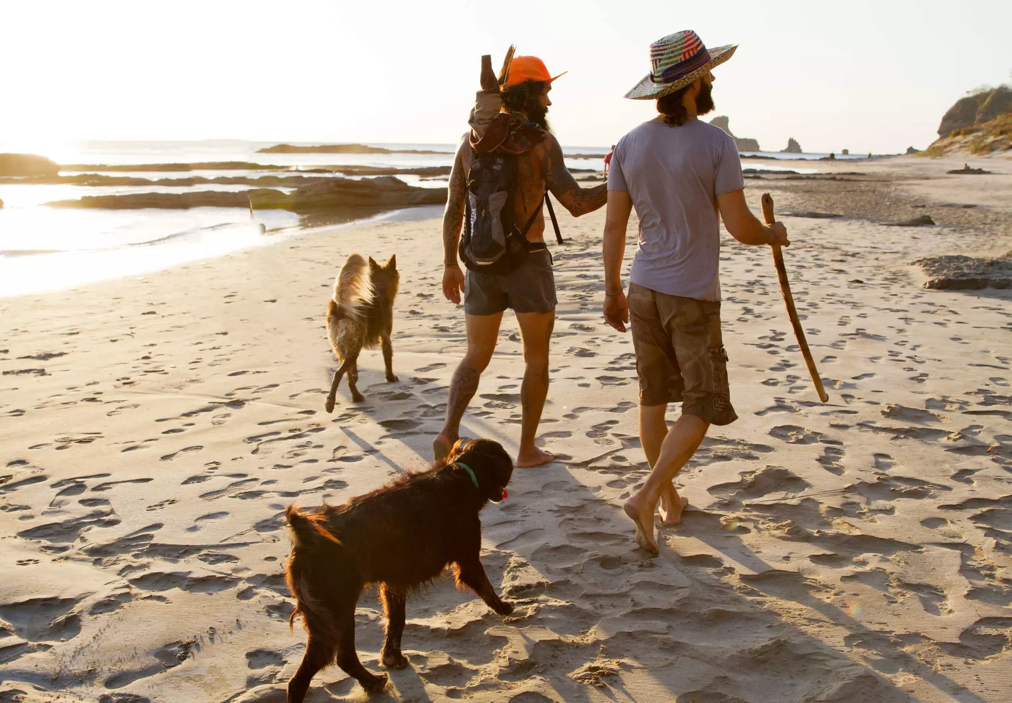 Two male travelers stroll the beach with two dogs following behind them.