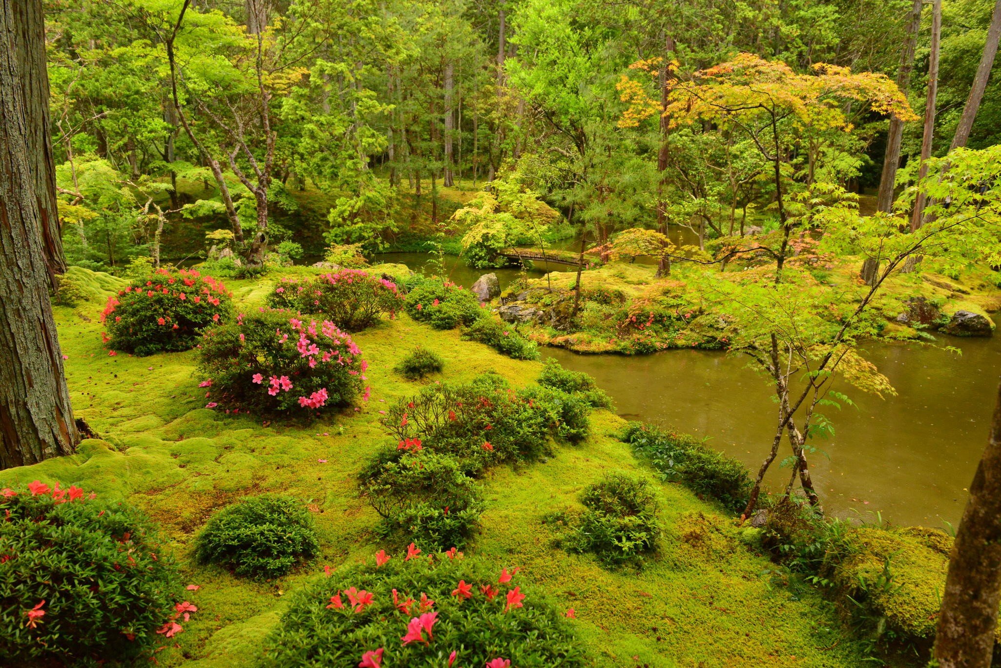 Saiho-ji Temple, which is said to have been established by the monk Gyoki 1300 years ago, was restored and converted into a Zen temple by the monk Muso Soseki in 1339. The precincts are covered by more than 120 types of moss, resembling a beautifu...