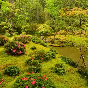 Saiho-ji Temple, which is said to have been established by the monk Gyoki 1300 years ago, was restored and converted into a Zen temple by the monk Muso Soseki in 1339. The precincts are covered by more than 120 types of moss, resembling a beautifu...