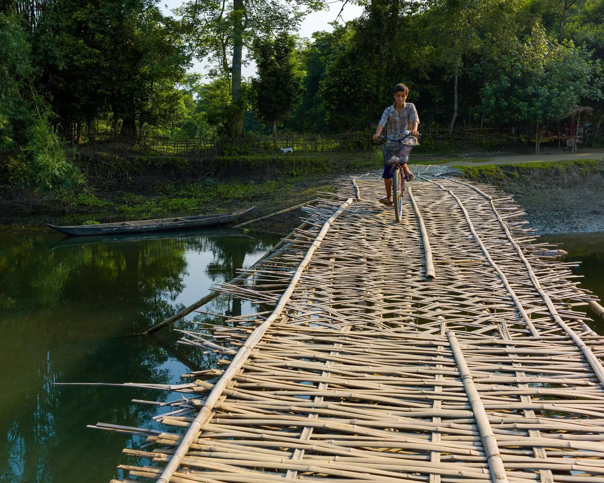A young man on bicycle crossing bamboo lattice bridge over calm lagoon with trees in the background.