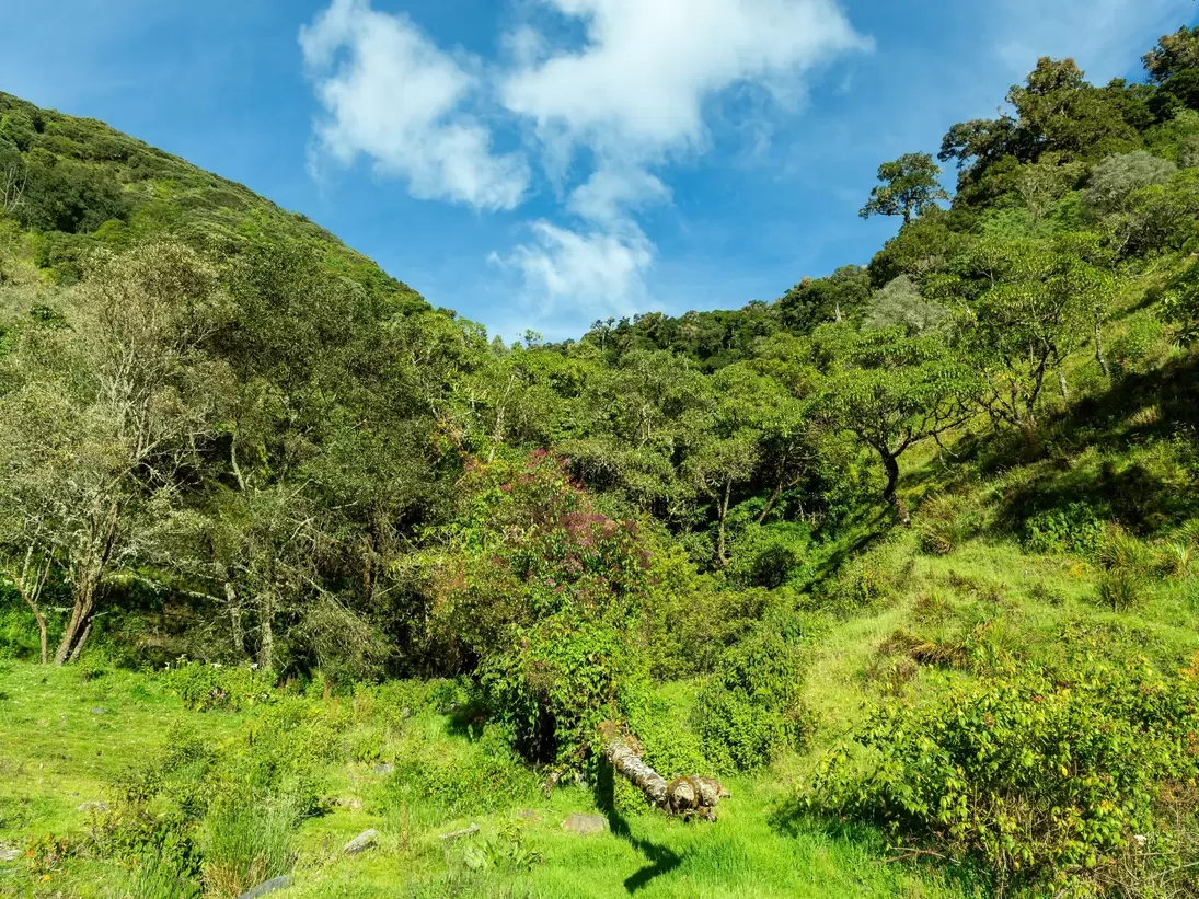 Beautiful view of the landscape, Los Quetzales National Park, and the rainforest surrounding San Gerardo de Dota.