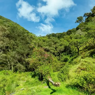 Beautiful view of the landscape, Los Quetzales National Park, and the rainforest surrounding San Gerardo de Dota.