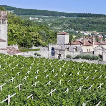 Villa della Torre is an original example of Venetian Renaissance architecture built around 1560 in Fumane, a village in Valpolicella.