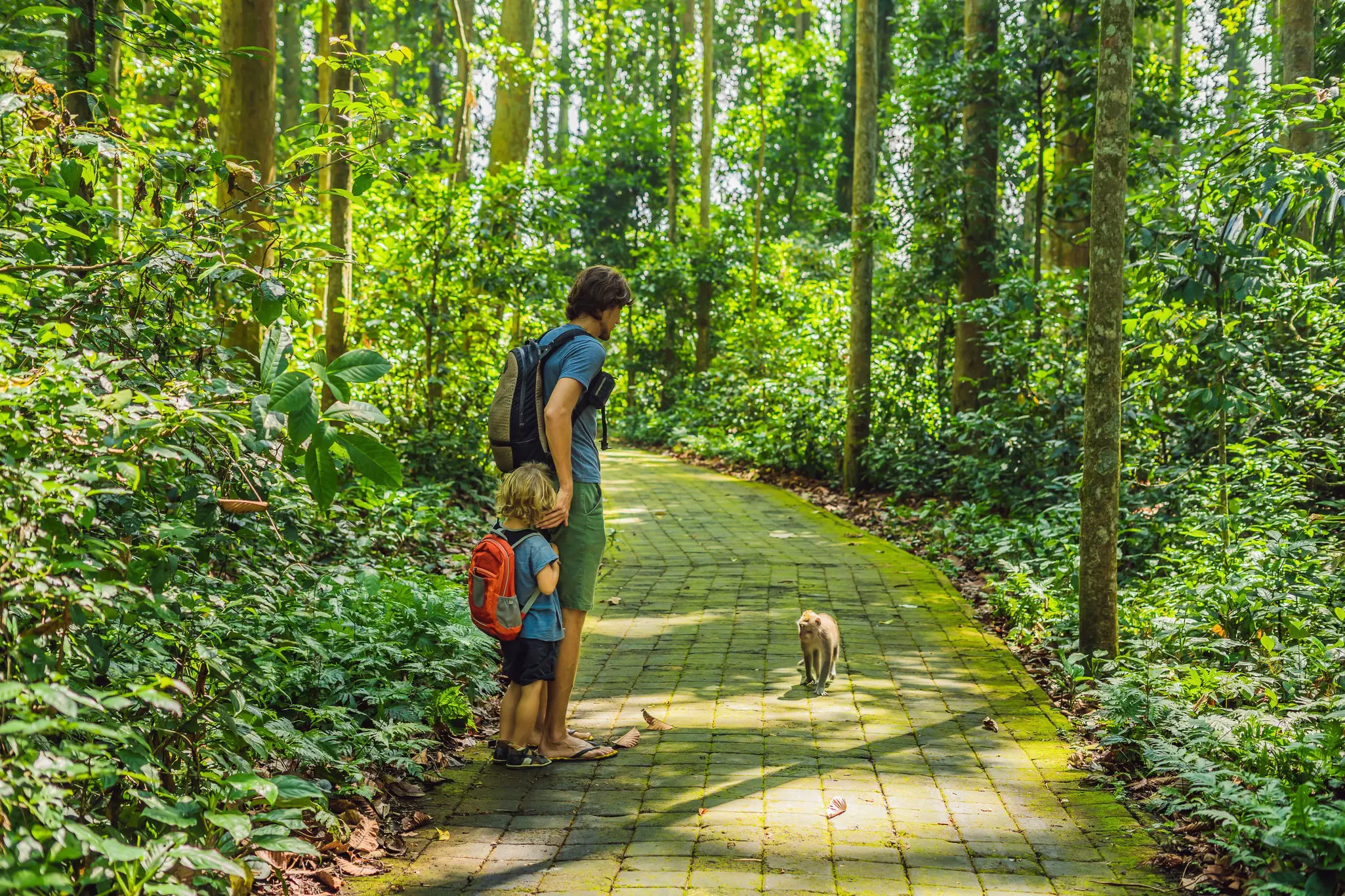 A father and son observe a small monkey on a brick path through the jungle in a park.