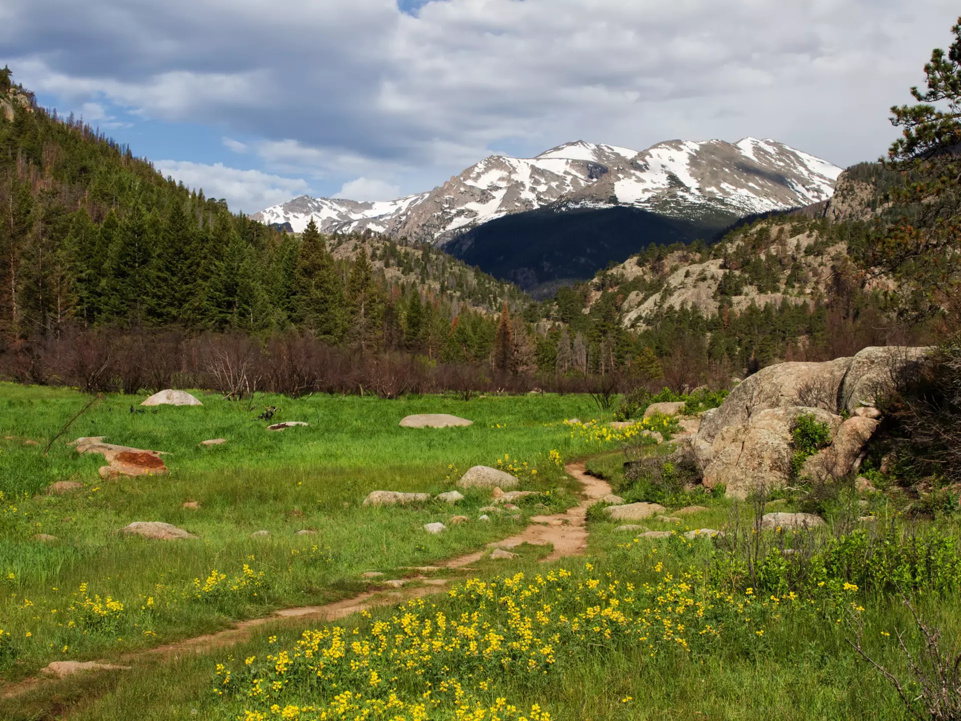 Cub Lake Trail in Rocky Mountain National Park
