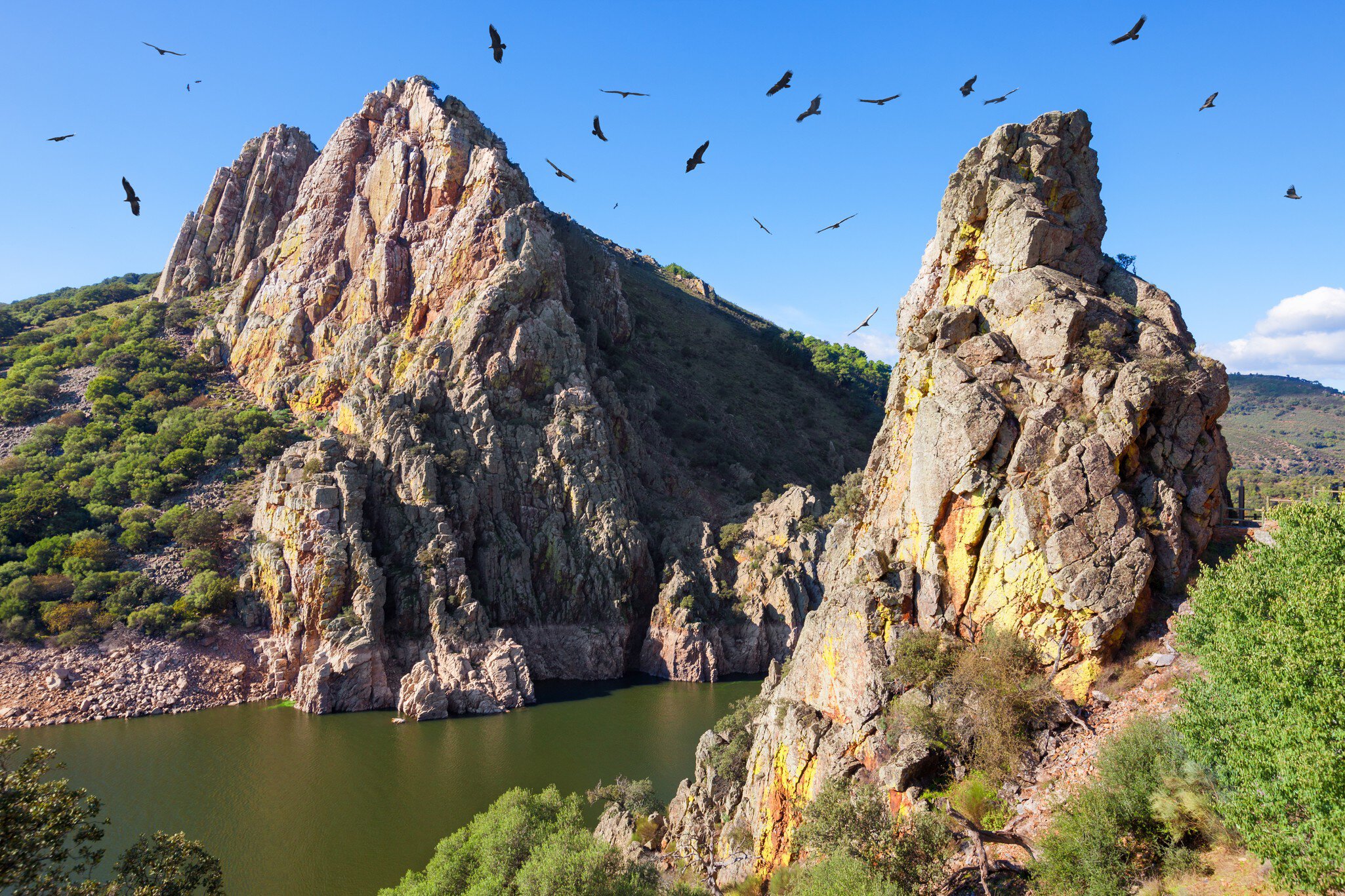 Bird flying over the water at the Mirador Salto del Gitano in the Parque Nacional de Monfragüe, Spain.