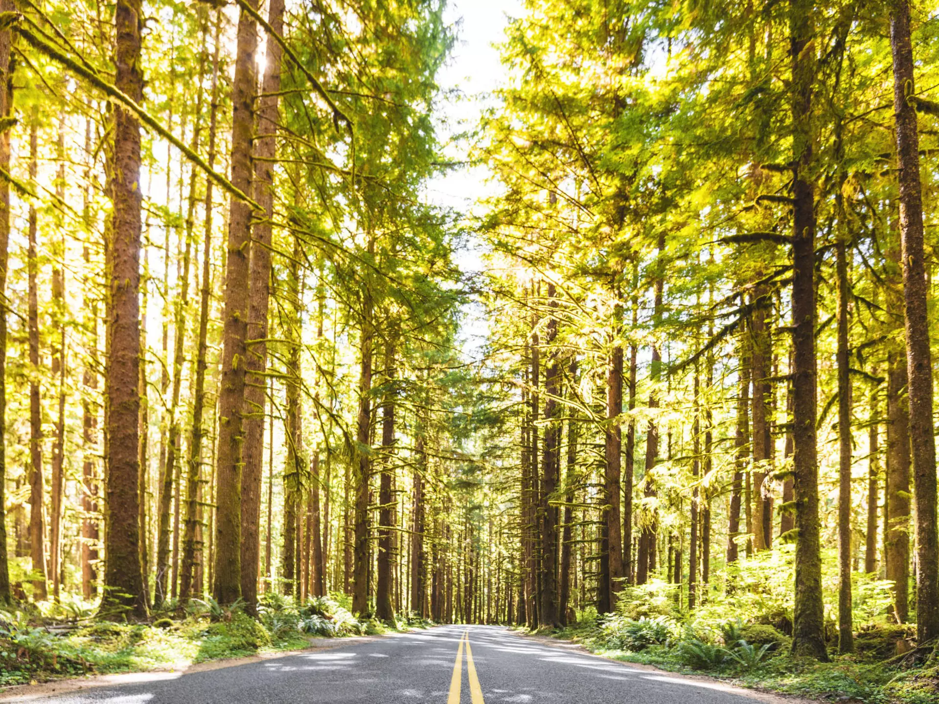 Take your electric car across country ©franckreporter/Getty Images