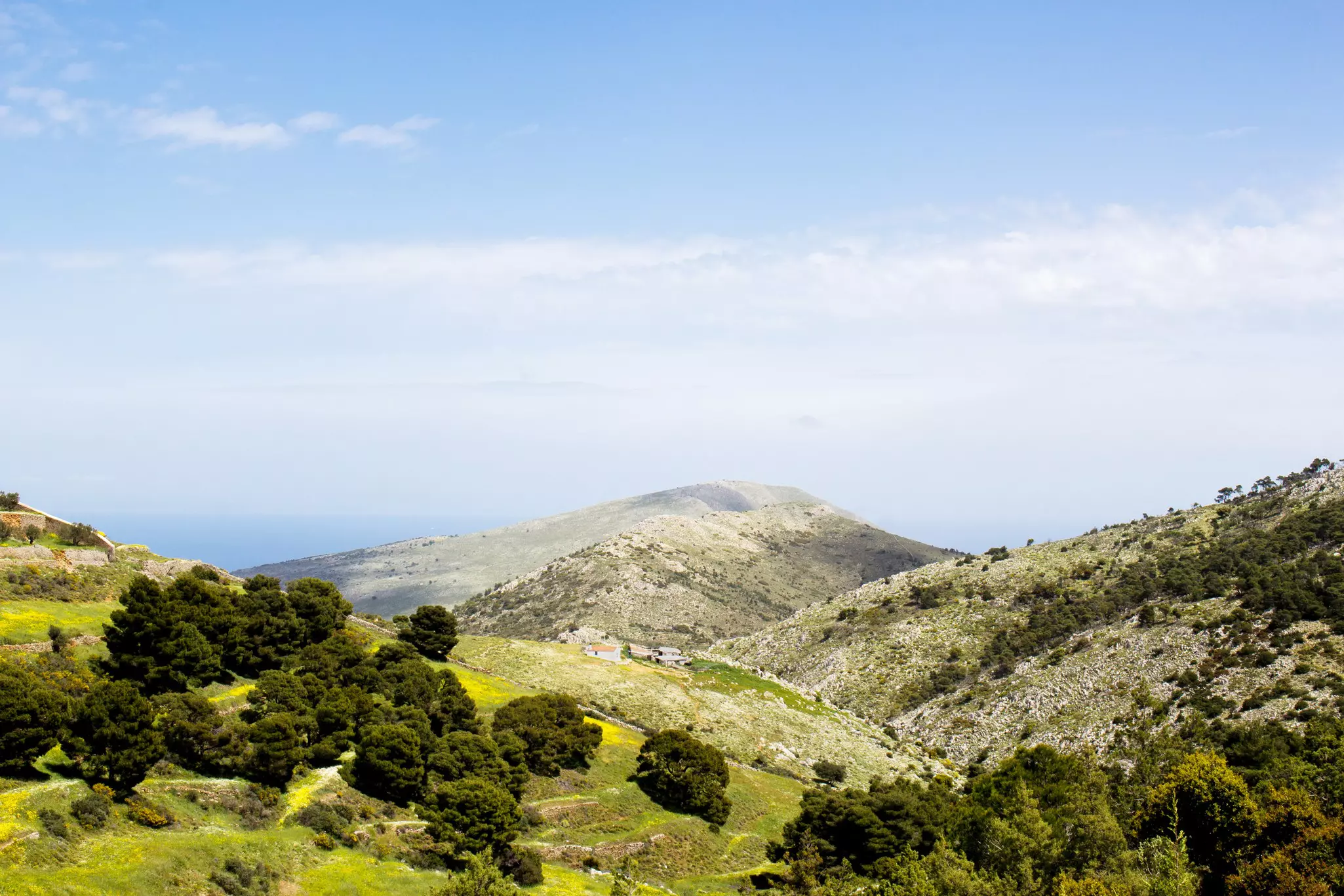 View during a hike to the top of Mount Eros at Hydra island, Greece  License Type: media  Download Time: 2024-05-24T05:31:42.000Z  User: ceri_lp  Is Editorial: No  purchase_order:   