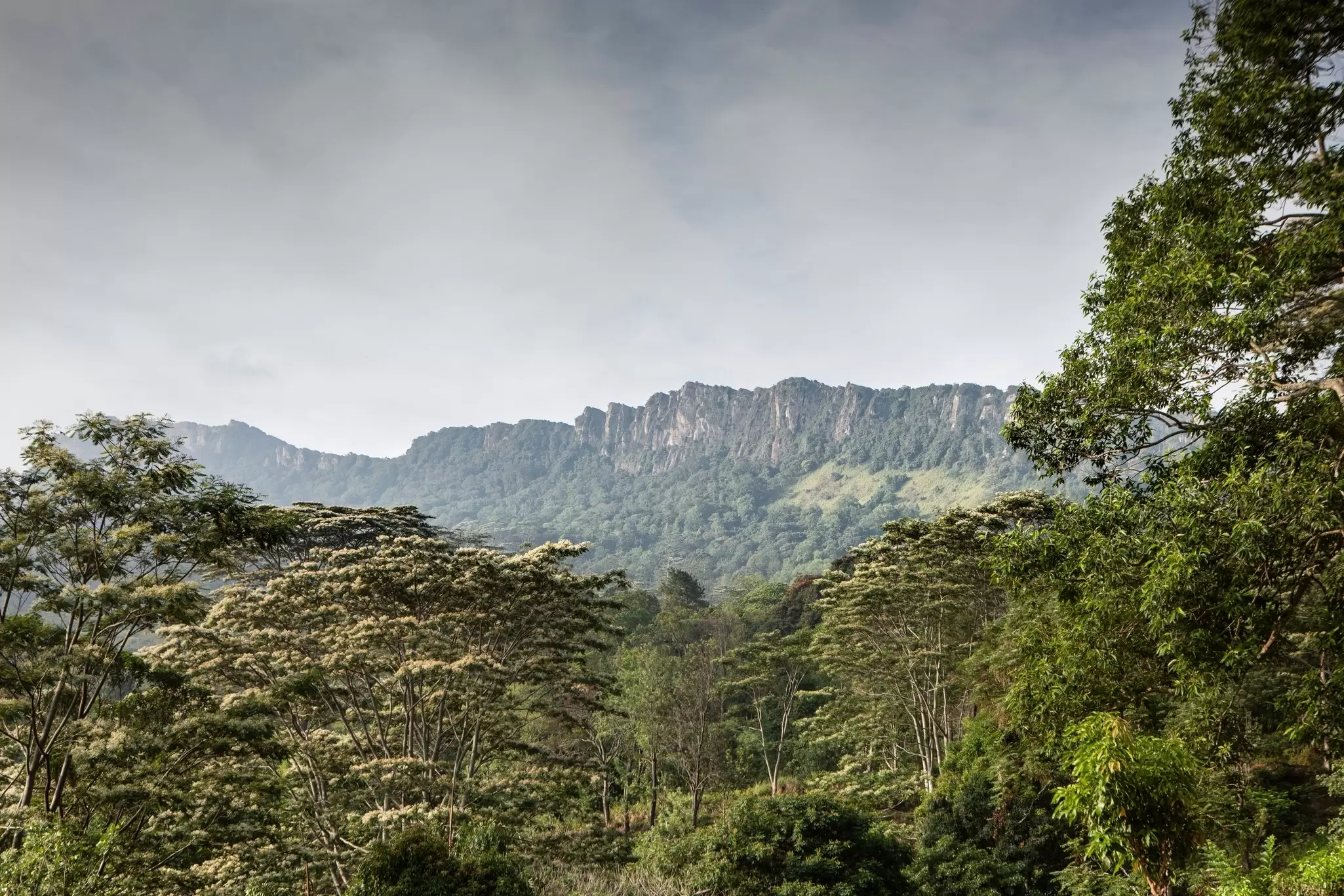 Scenic views along Sri Lanka's Pekoe Trail. Thetriggerhappydoc/Shutterstock
