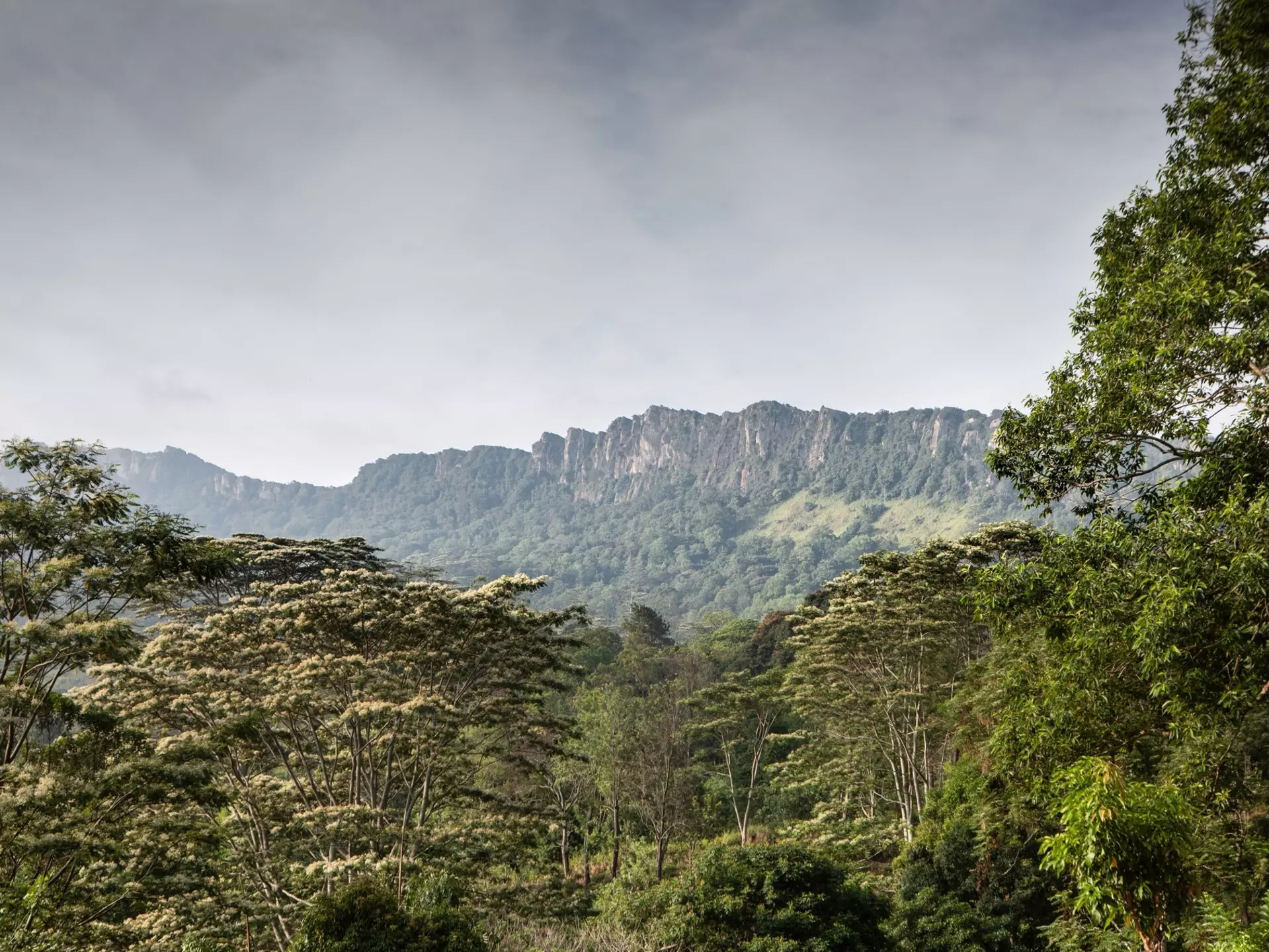 Scenic views along Sri Lanka's Pekoe Trail. Thetriggerhappydoc/Shutterstock