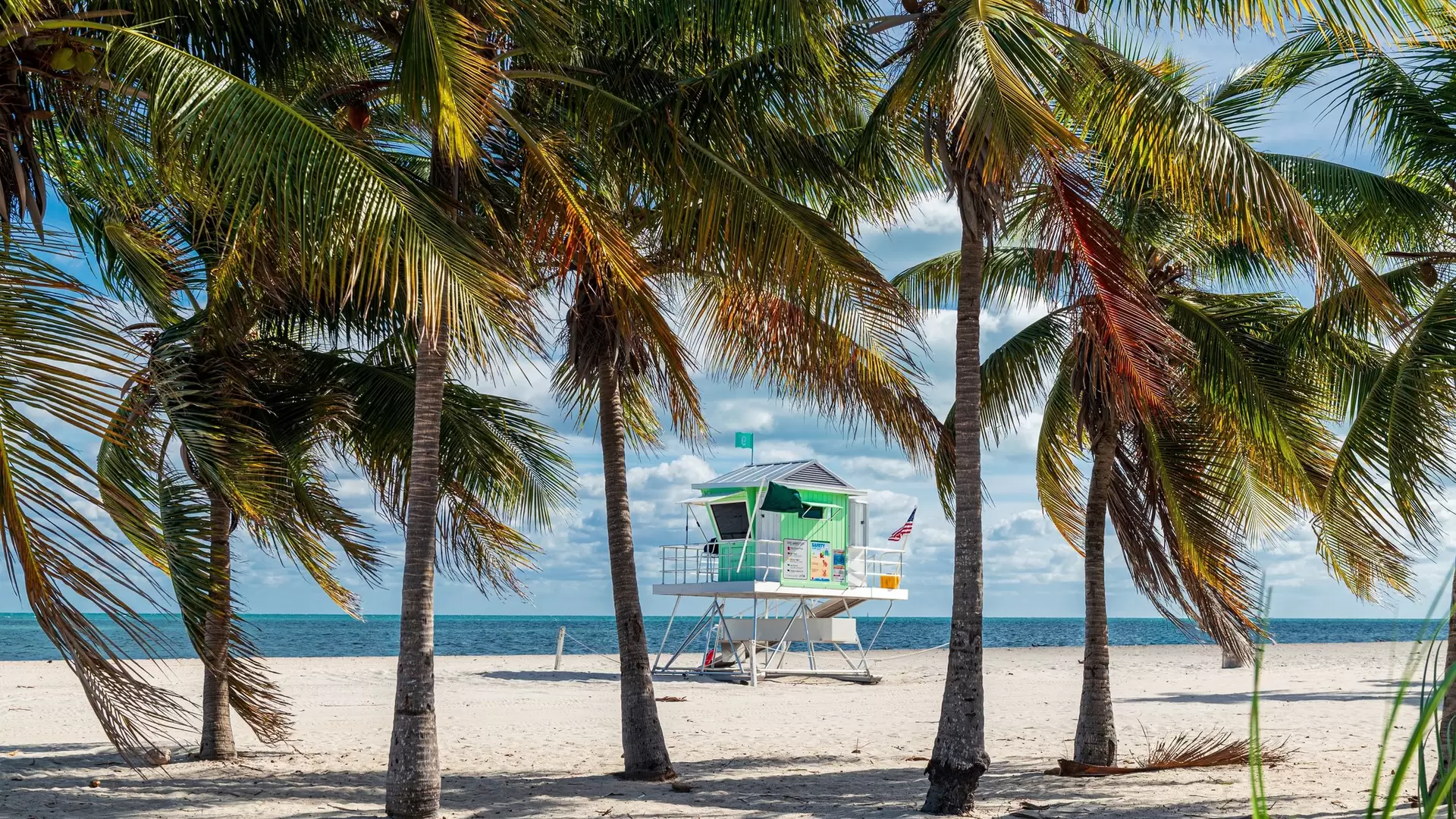 Colorful lifeguard hut seen through the palm trees at Crandon Beach on a sunny day, Key Biscayne, Miami, Florida