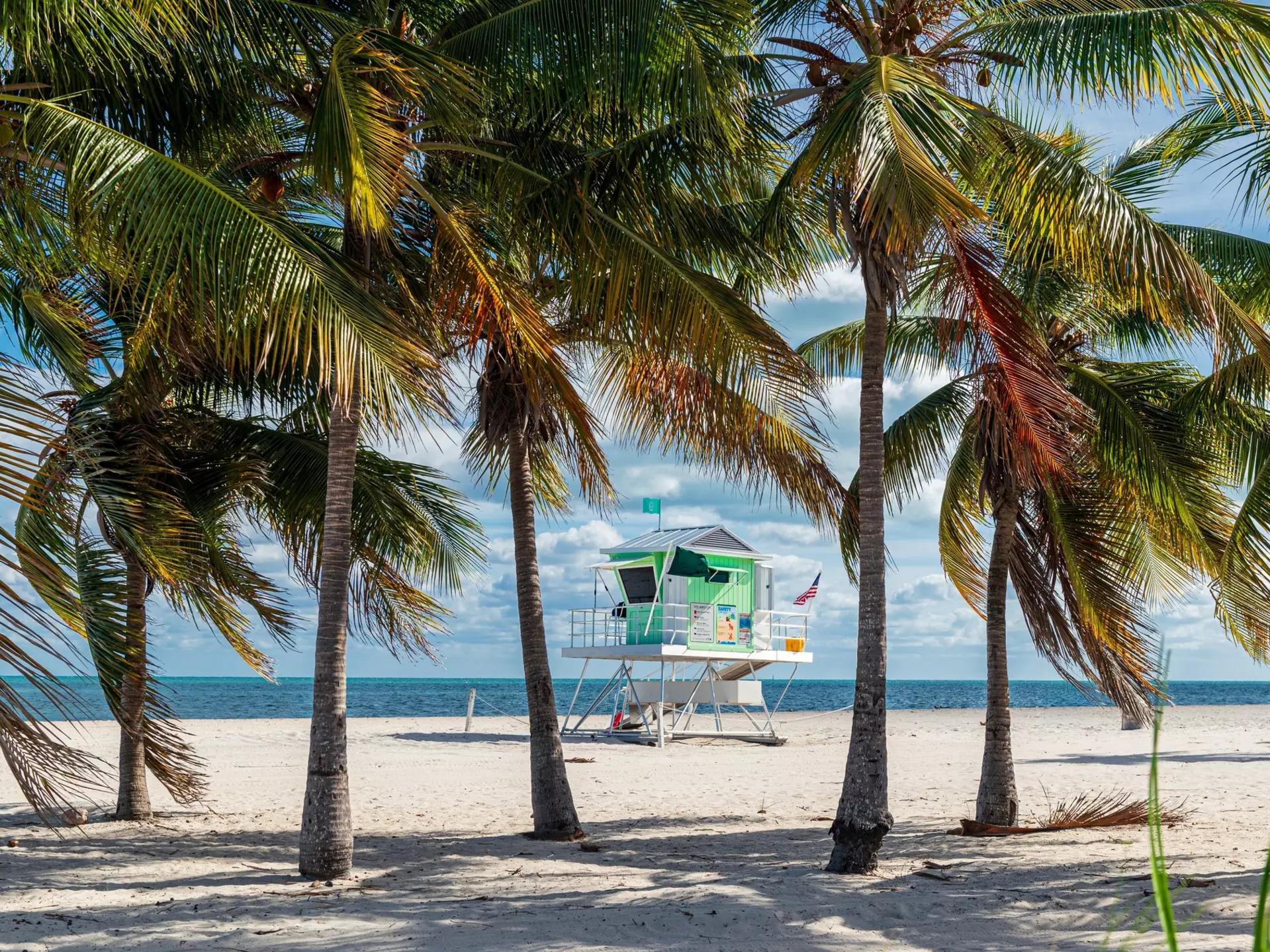 A view of a lifeguard tower on a beach through palm trees.