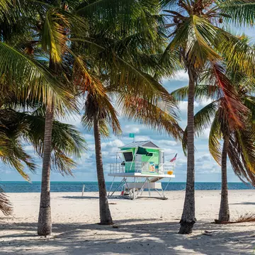 A view of a lifeguard tower on a beach through palm trees.