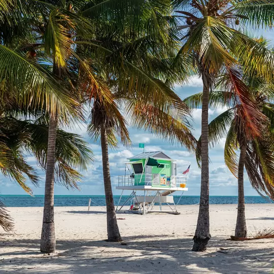 Colorful lifeguard hut seen through the palm trees at Crandon Beach on a sunny day, Key Biscayne, Miami, Florida