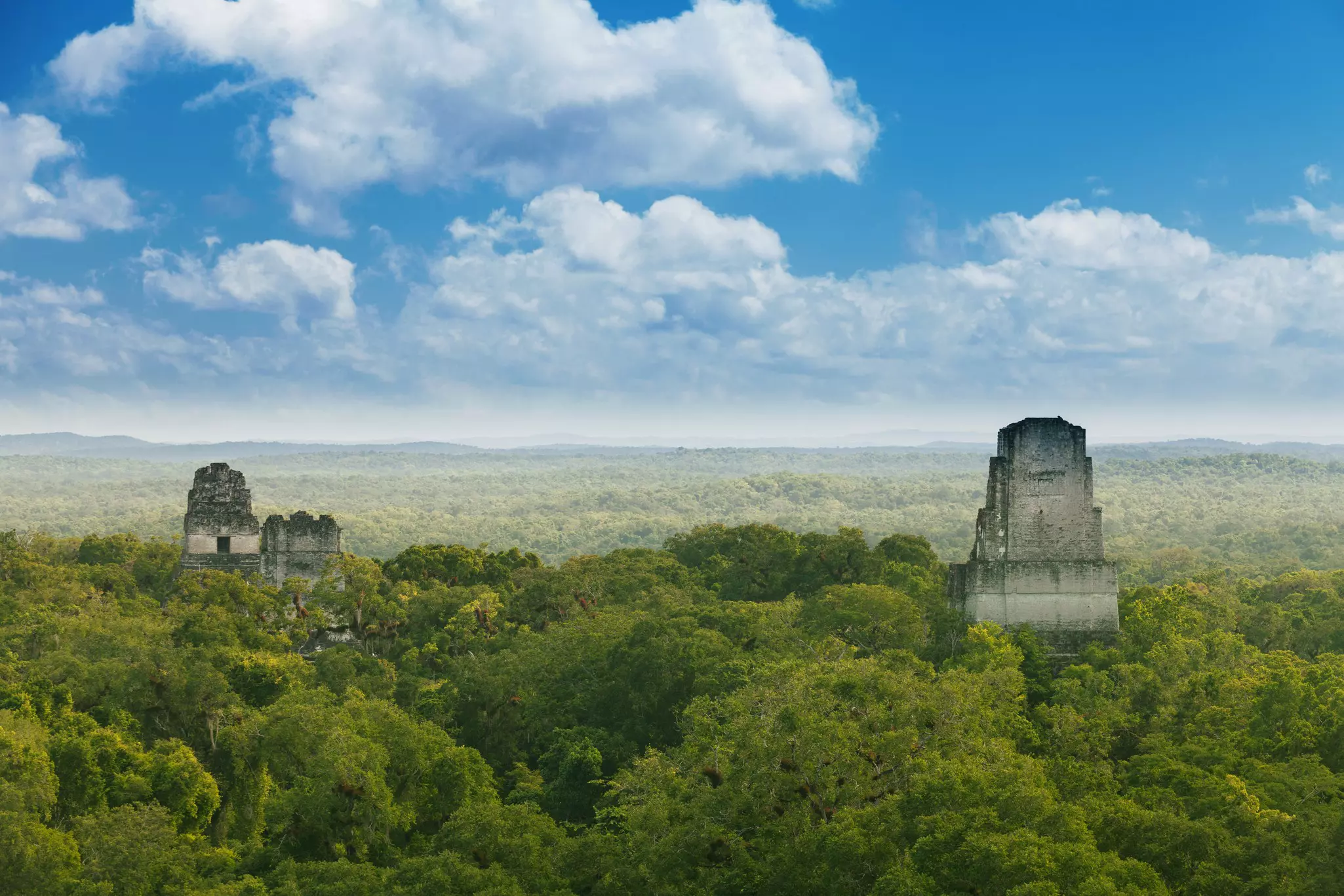 Two limestone temple towers poke out above a jungle canopy.