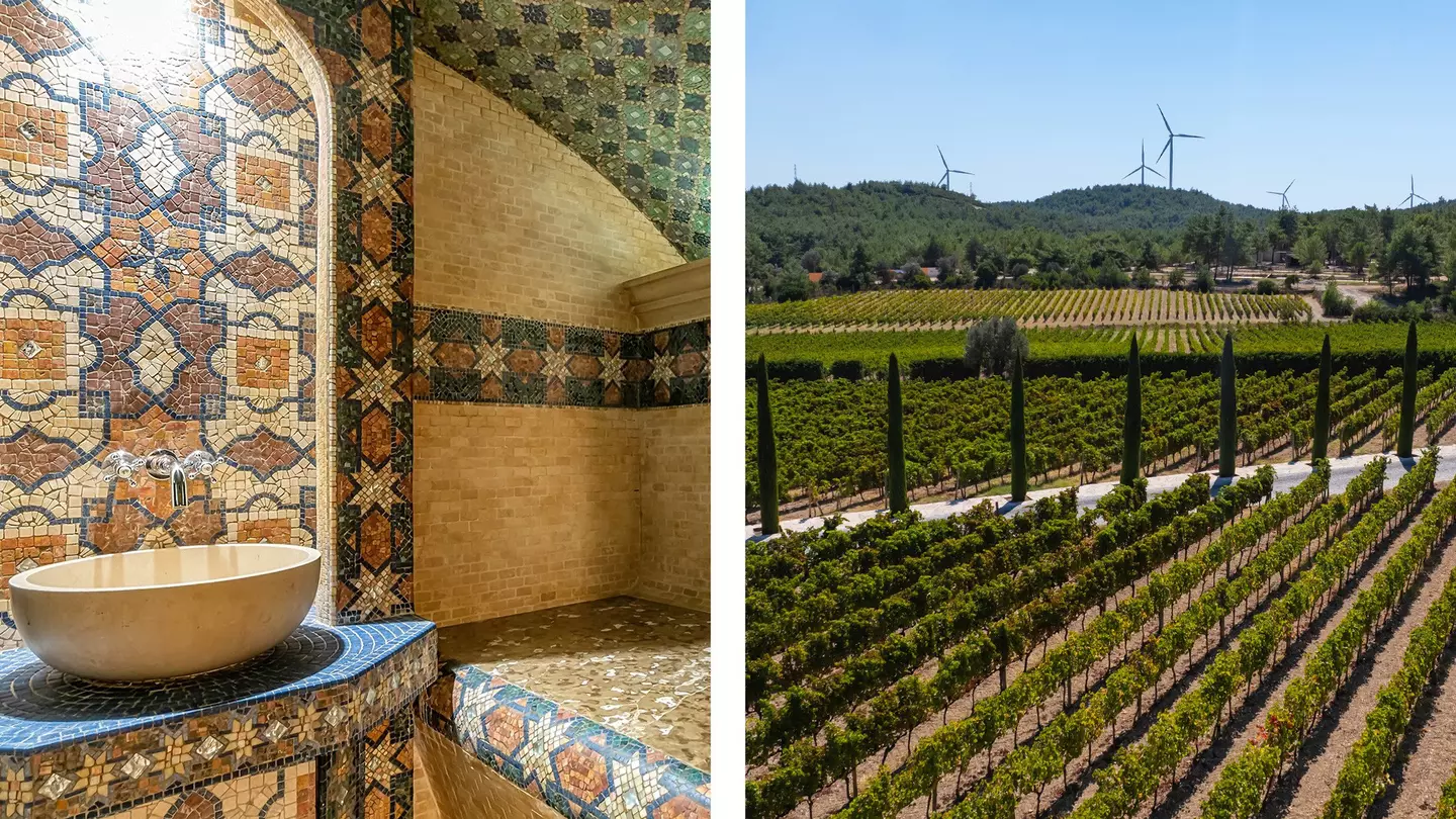 Left, details on a room in a traditional Turkish bath; right, arial shot of a vineyard