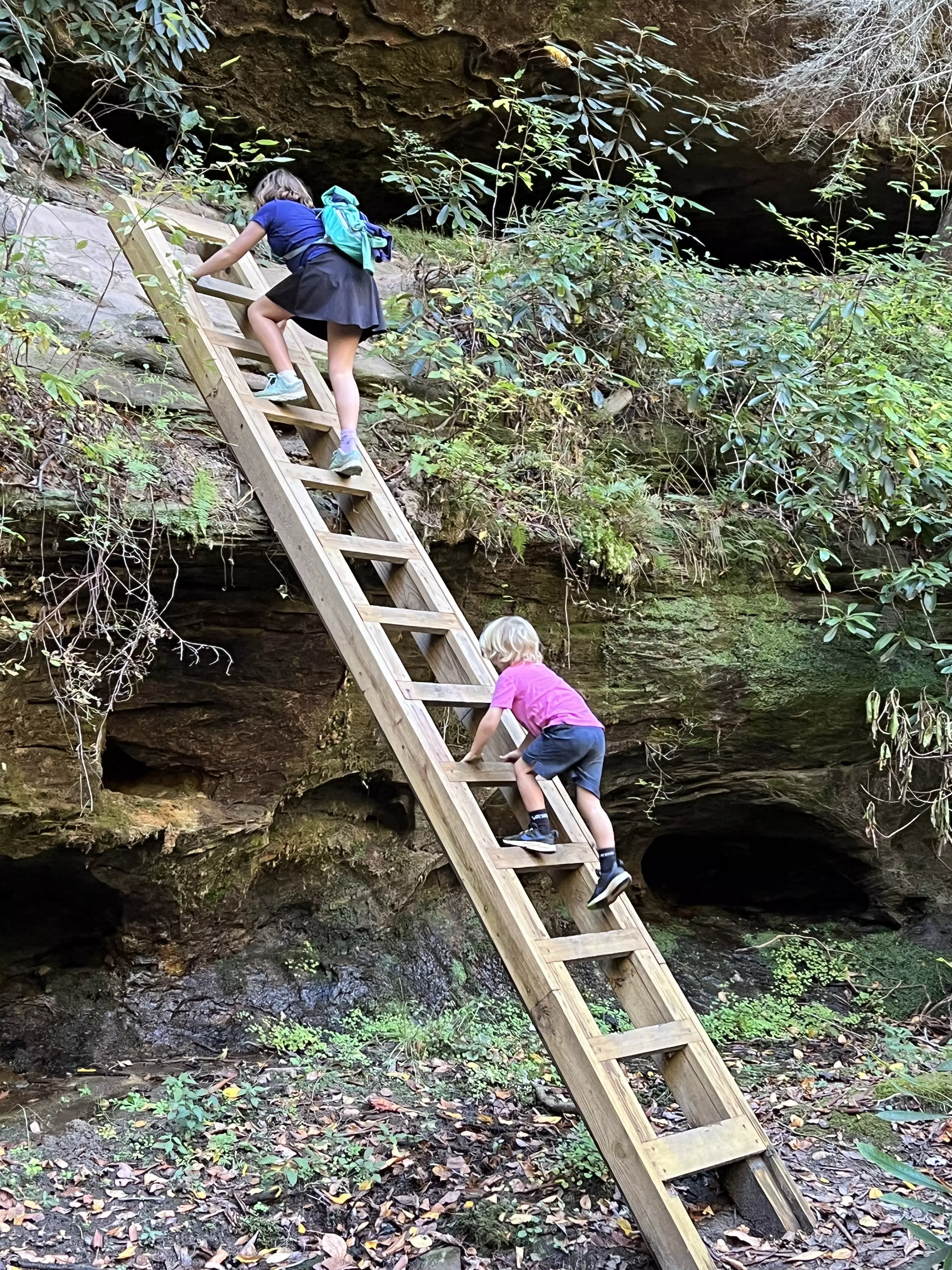Ladder hike in Picket State Park, Tennessee