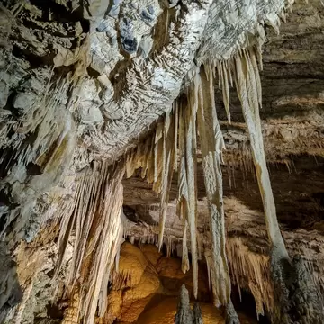 Marakoopa cave in Tasmania, Australia.