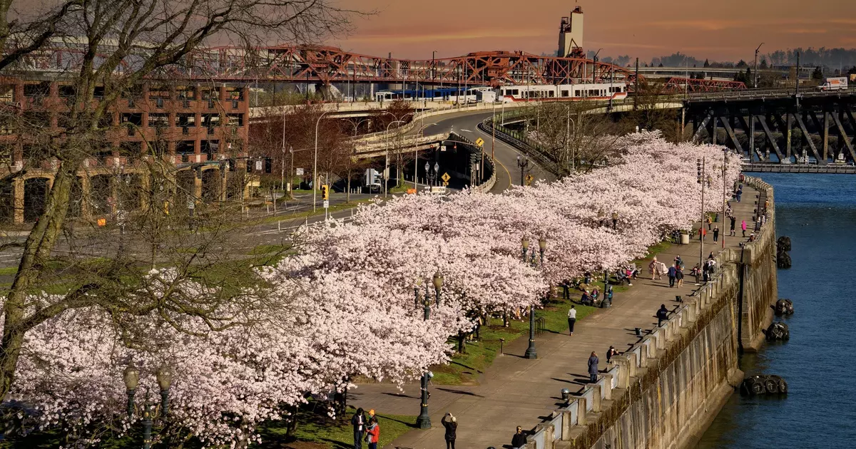 The best time to visit Portland, Oregon: a seasonal guide