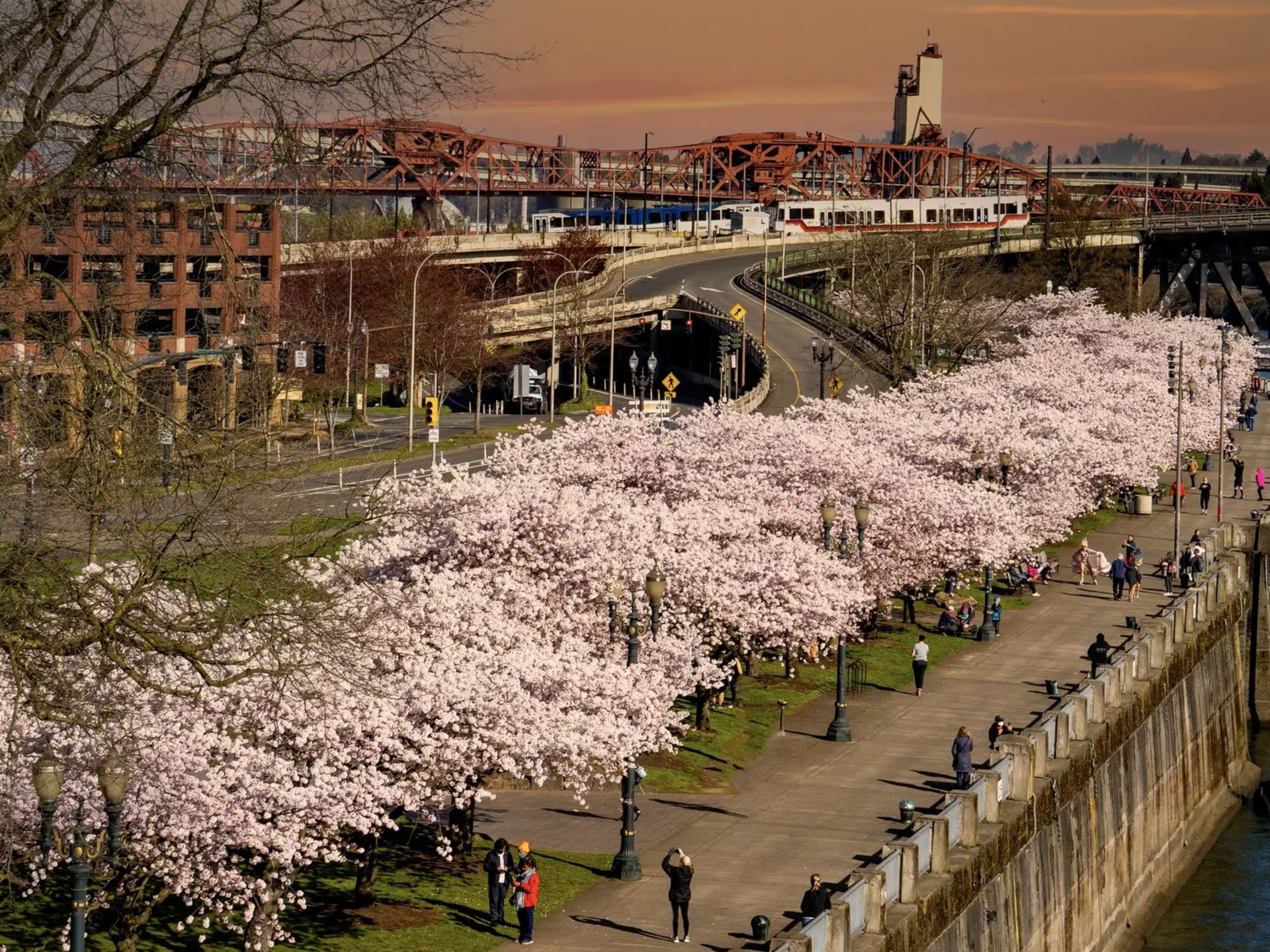 TK. Bob Pool/Shutterstock