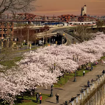 TK. Bob Pool/Shutterstock