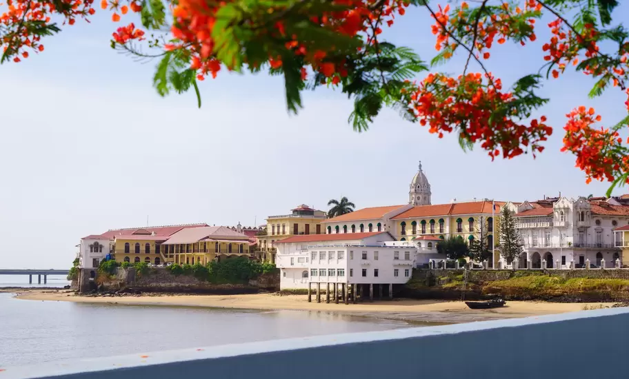 Red flame-tree blossoms frame colonial buildings and a domed tower on the Casco Viejo waterfront in Panama City
