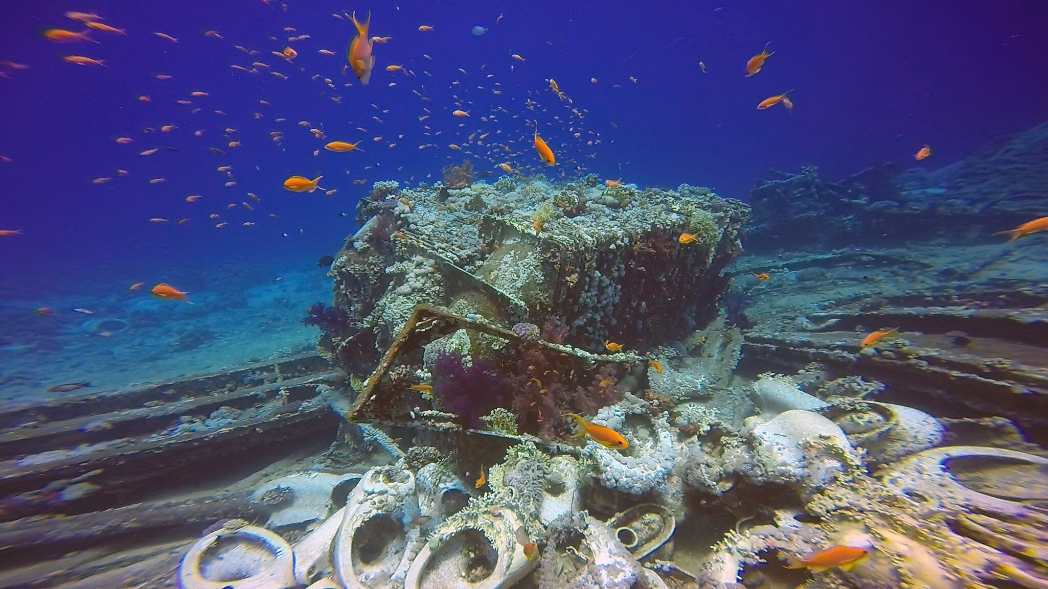 Cargo from the wreck of the Yolanda at the tip of the Sinai Peninsula in Egypt