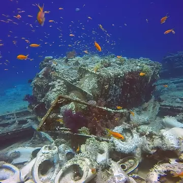 Cargo from the wreck of the Yolanda at the tip of the Sinai Peninsula in Egypt