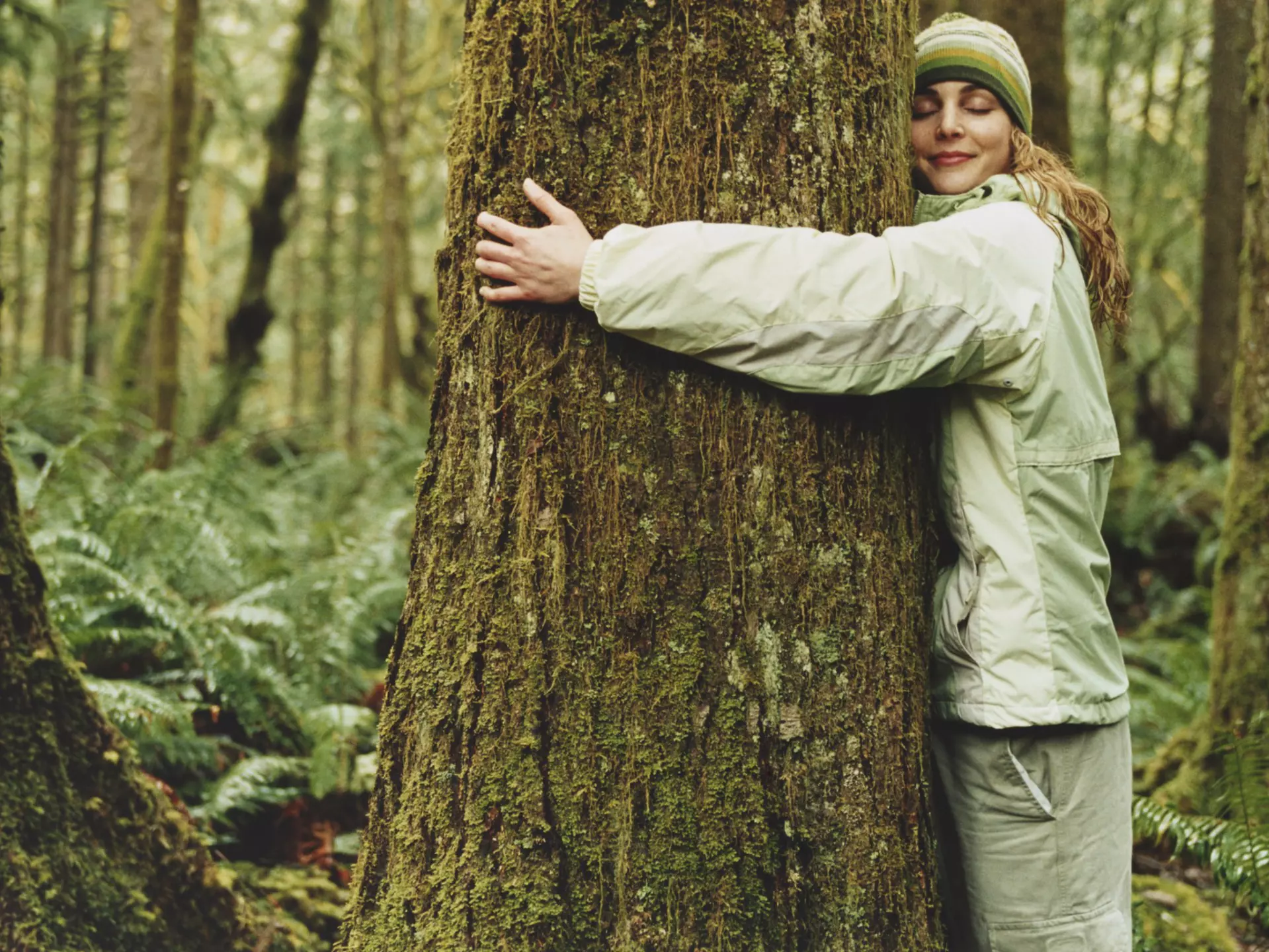 Iceland's forestry service is encouraging people to hug a tree to help combat feelings of loneliness and isolation Patrik Giardino/Getty Images