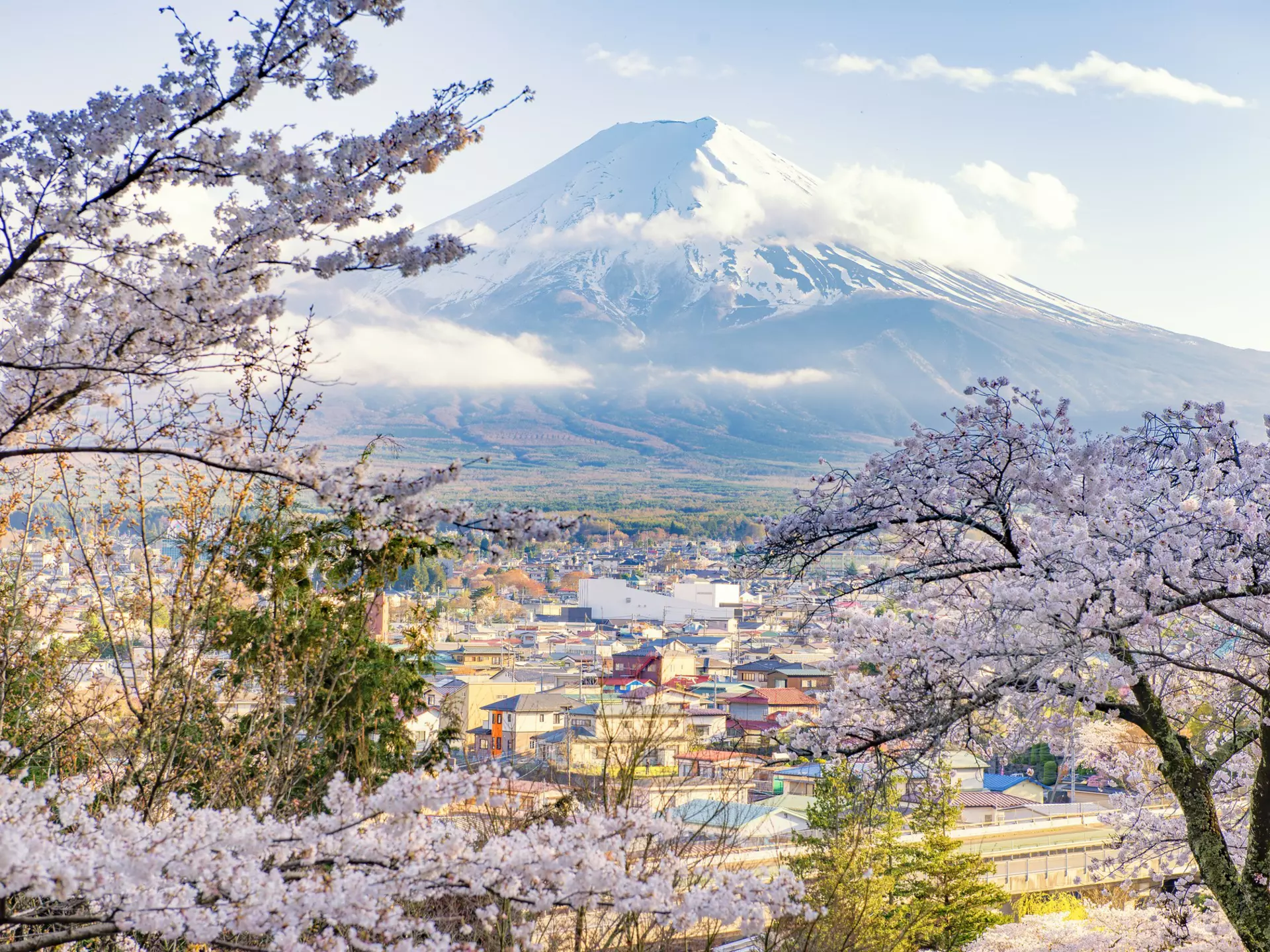 Fujiyoshida Town and Sakura Branches with Fuji Mountain Background
820817016
Japan, Beauty, Winter, Blossom, Asia, Landscape, Lake Kawaguchi, Outdoors, Famous Place, White Color, Springtime, Tree, Travel, Mt, Japanese, Sky, Reflection, Light - Natural Phenomenon, Photography, Uji, Sunrise - Dawn, Symbol, Capital Cities, Fujiyoshida, Kawaguchi, Sakura, Light, Snow, Pagoda, AutotagHighlyAuthentic - Do Not Delete, Pink, Blue, Flower, Morning, Landscape - Scenery, Fujikawaguchiko, Pink Color, Water, Yamanashi Prefecture, Volcano, Sunrise, Tokyo - Japan, Mountain, Nature, Spring, White, Mt. Fuji, Temple - Building, Healthy Eating, Horizontal, Cherry, Cherry Blossom, Background, Lake, Volcanic Landscape, chureito