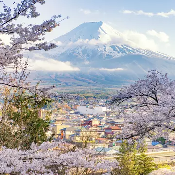 Fujiyoshida Town and Sakura Branches with Fuji Mountain Background
820817016
Japan, Beauty, Winter, Blossom, Asia, Landscape, Lake Kawaguchi, Outdoors, Famous Place, White Color, Springtime, Tree, Travel, Mt, Japanese, Sky, Reflection, Light - Natural Phenomenon, Photography, Uji, Sunrise - Dawn, Symbol, Capital Cities, Fujiyoshida, Kawaguchi, Sakura, Light, Snow, Pagoda, AutotagHighlyAuthentic - Do Not Delete, Pink, Blue, Flower, Morning, Landscape - Scenery, Fujikawaguchiko, Pink Color, Water, Yamanashi Prefecture, Volcano, Sunrise, Tokyo - Japan, Mountain, Nature, Spring, White, Mt. Fuji, Temple - Building, Healthy Eating, Horizontal, Cherry, Cherry Blossom, Background, Lake, Volcanic Landscape, chureito