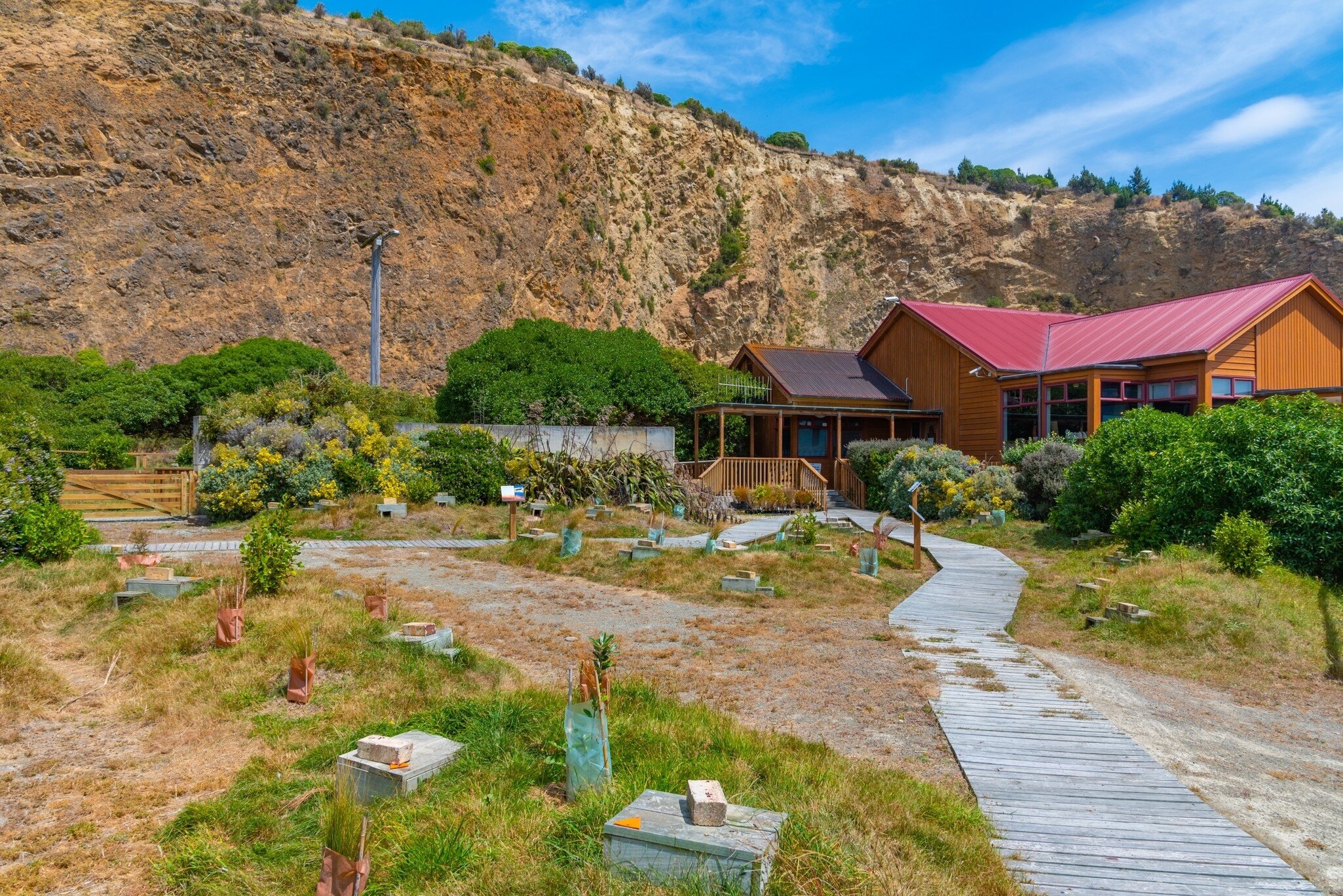 Observation area of Oamaru Blue Penguin Colony in New Zealand; Shutterstock ID 2082605500;