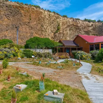 Observation area of Oamaru Blue Penguin Colony in New Zealand; Shutterstock ID 2082605500;