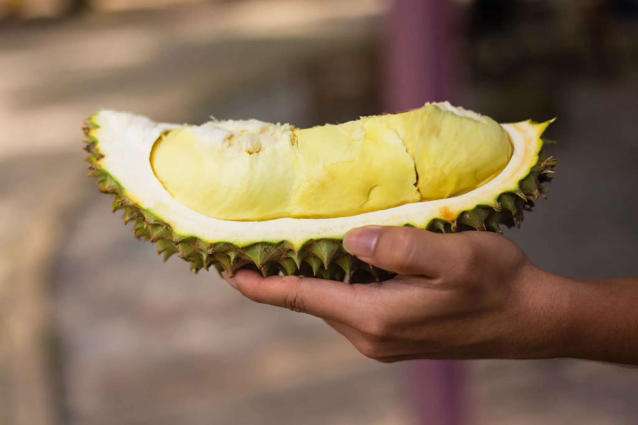 A wedge of the durian fruit