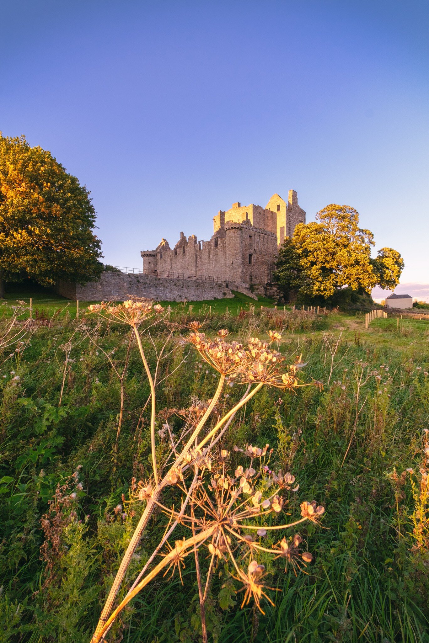 The Craigmillar Castle surrounded by green forestry at sunset, Edinburgh.