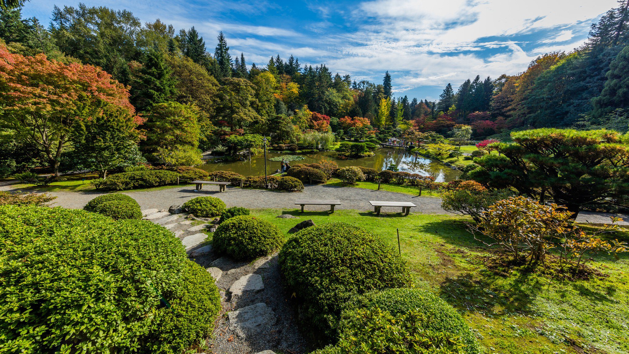 Seattle Japanese Garden, WA, USA