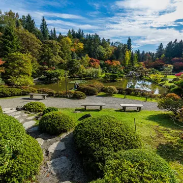 Seattle Japanese Garden, WA, USA