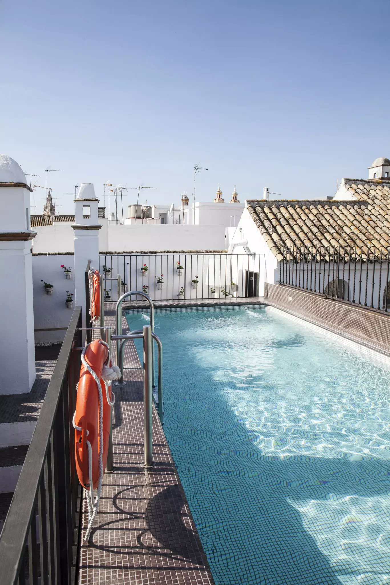 The rooftop pool at Casa Bautista in Tulum, Mexico