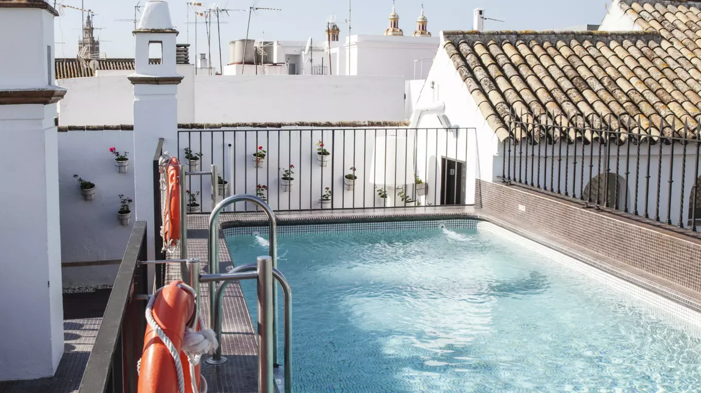 The rooftop pool at Casa Bautista in Tulum, Mexico